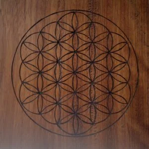 Flor de la vida